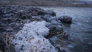 sea